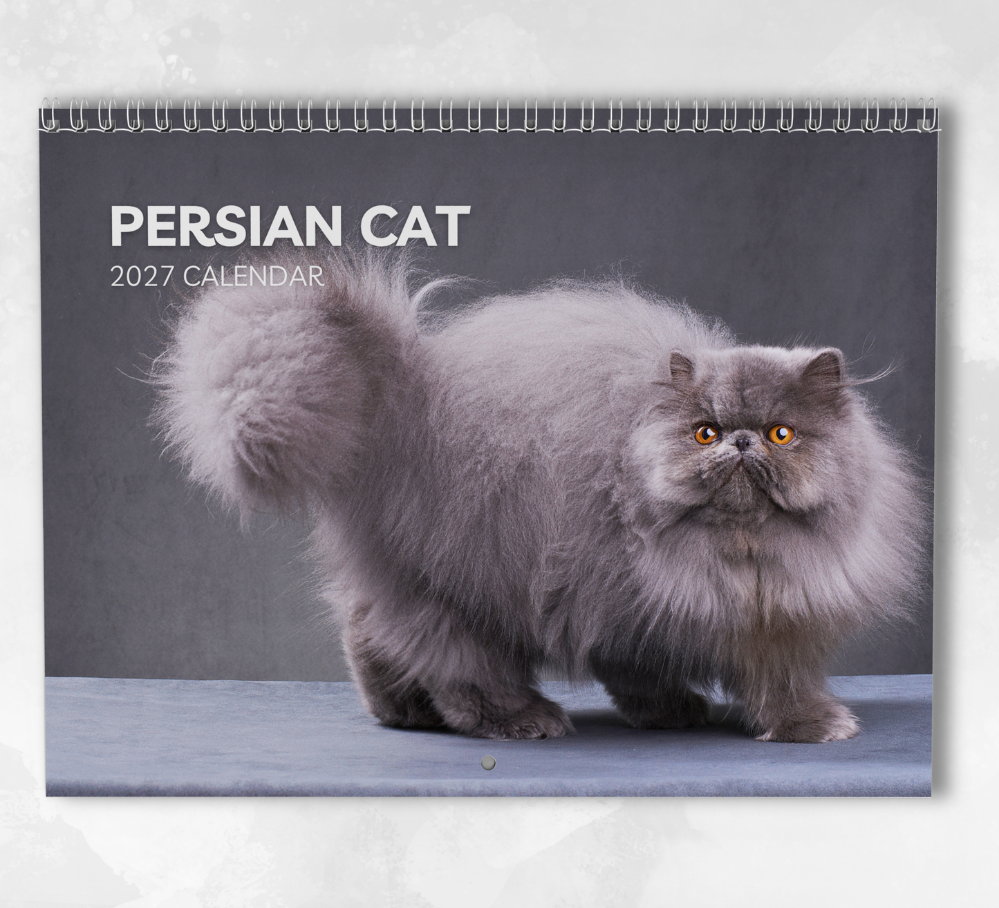 Persian Cat Calendar 2027