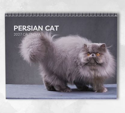 Persian Cat Calendar 2027