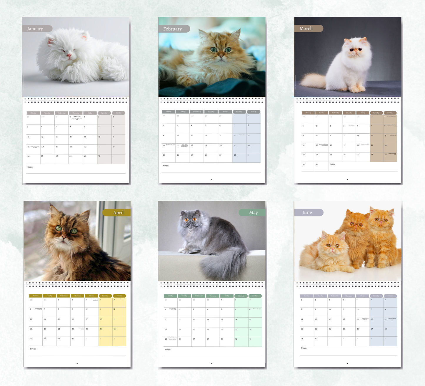 Persian Cat Calendar 2027