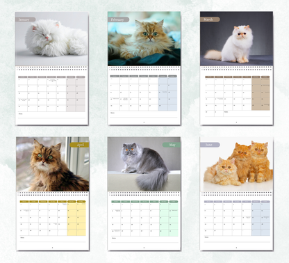 Persian Cat Calendar 2027