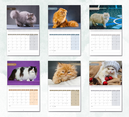 Persian Cat Calendar 2027