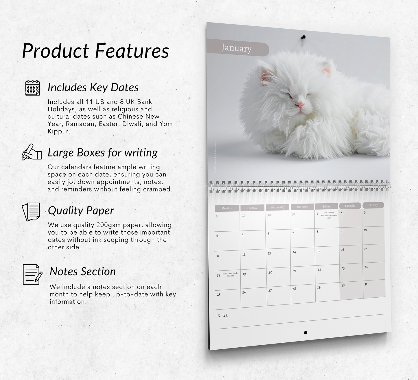 Persian Cat Calendar 2027