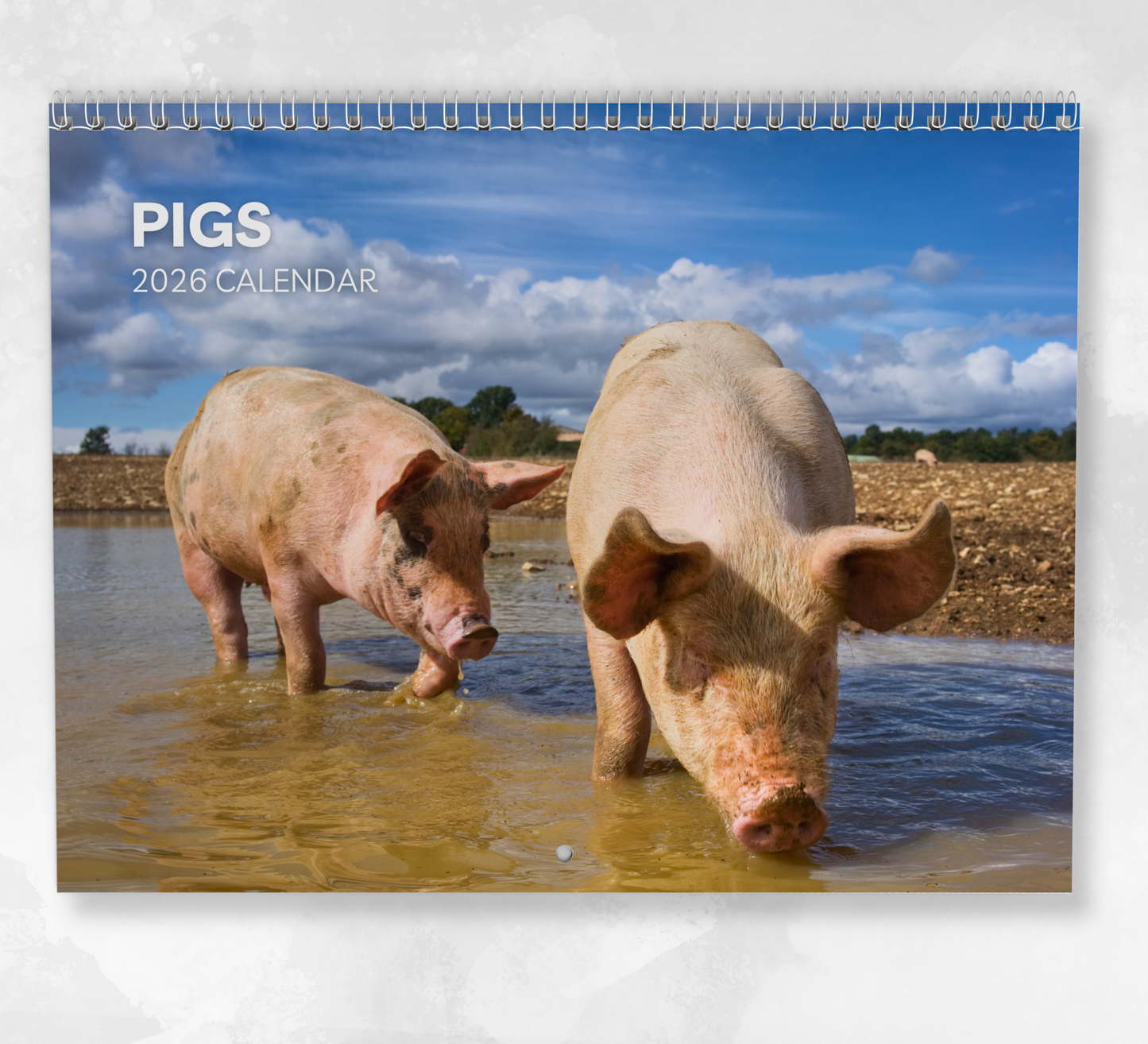 Pig Calendar 2026