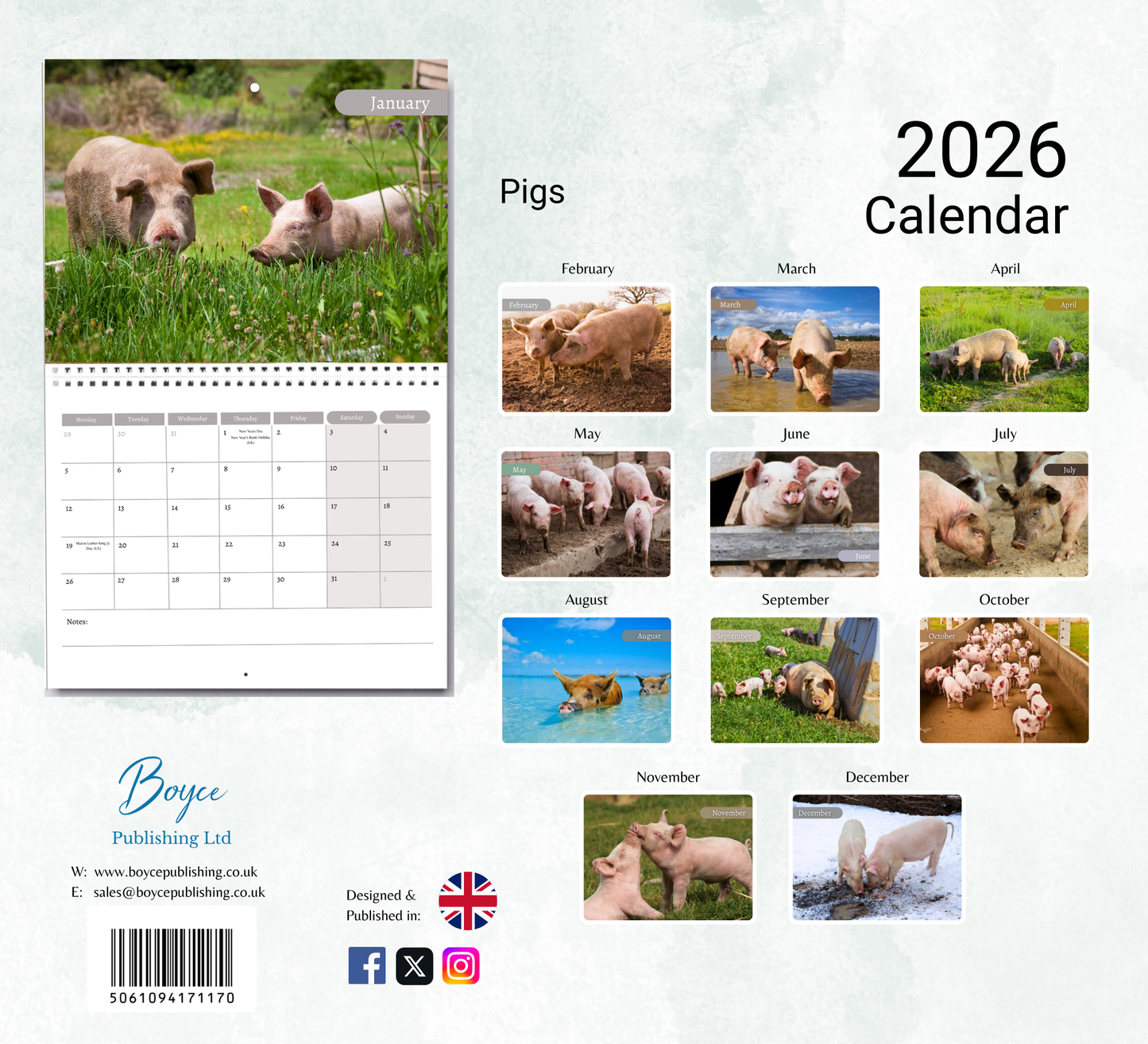 Pig Calendar 2026
