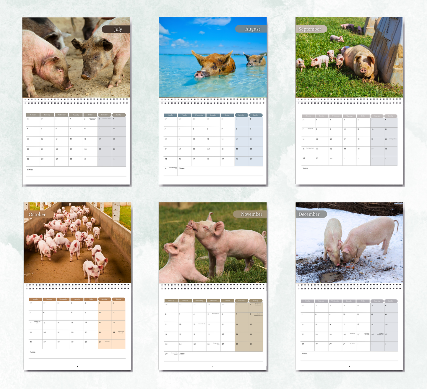 Pig Calendar 2026