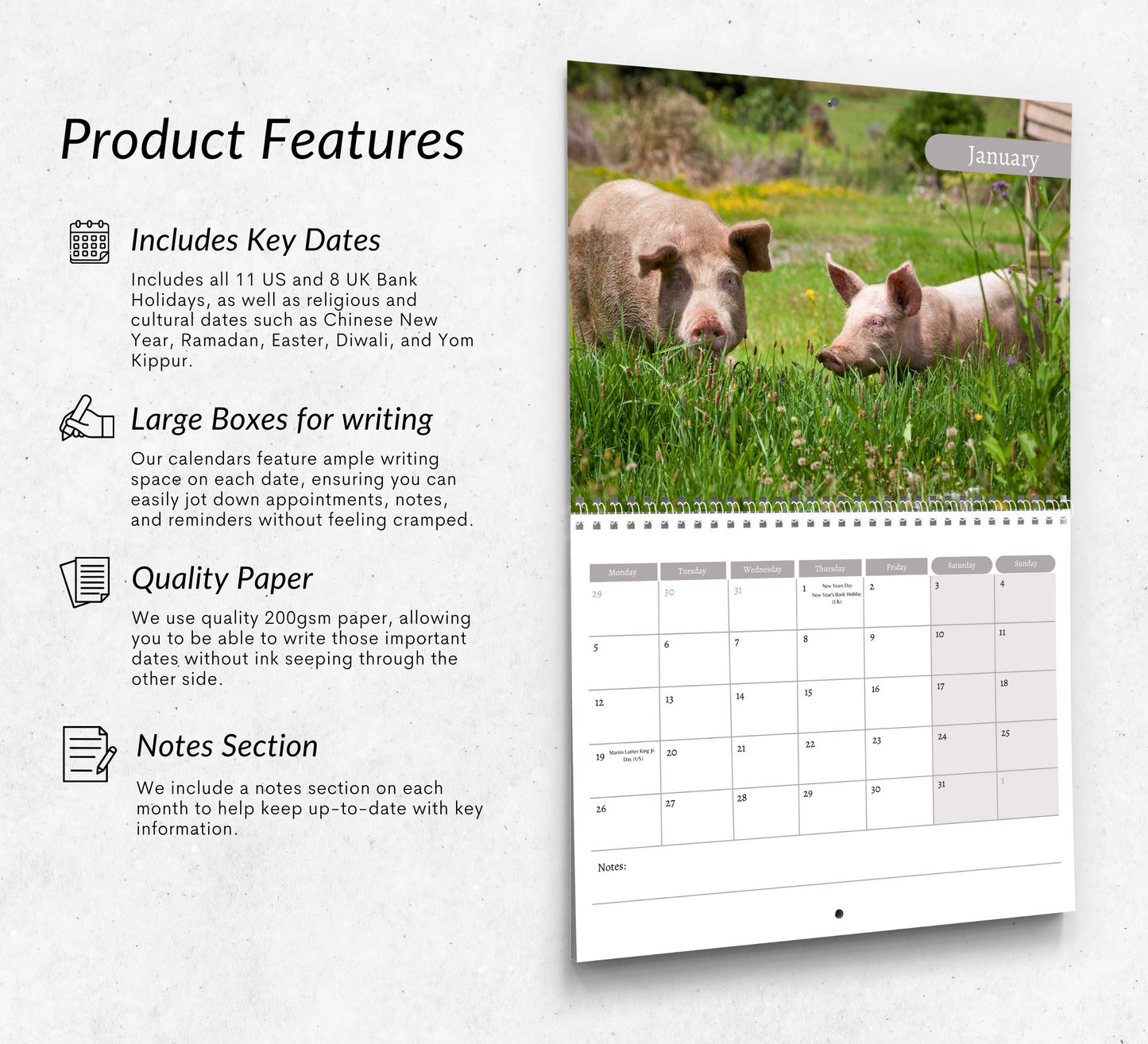 Pig Calendar 2026