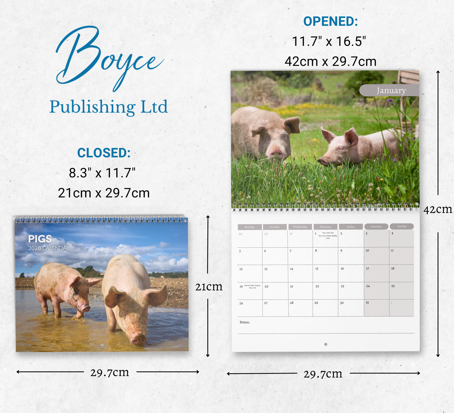 Pig Calendar 2026
