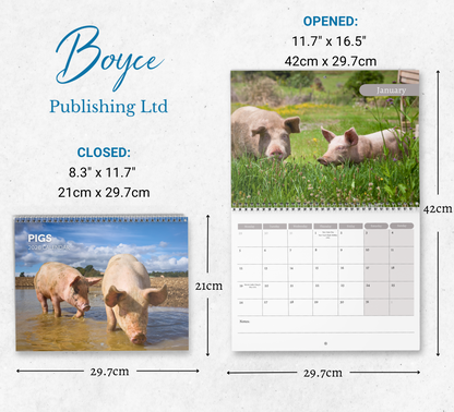 Pig Calendar 2026