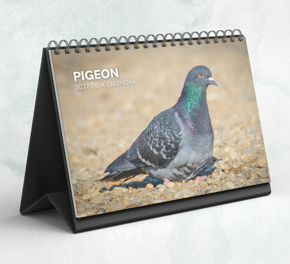 Pigeon Desk Calendar 2027-2028