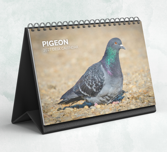 Pigeon Desk Calendar 2027-2028