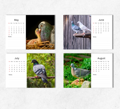 Pigeon Desk Calendar 2027-2028