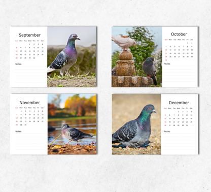 Pigeon Desk Calendar 2027-2028