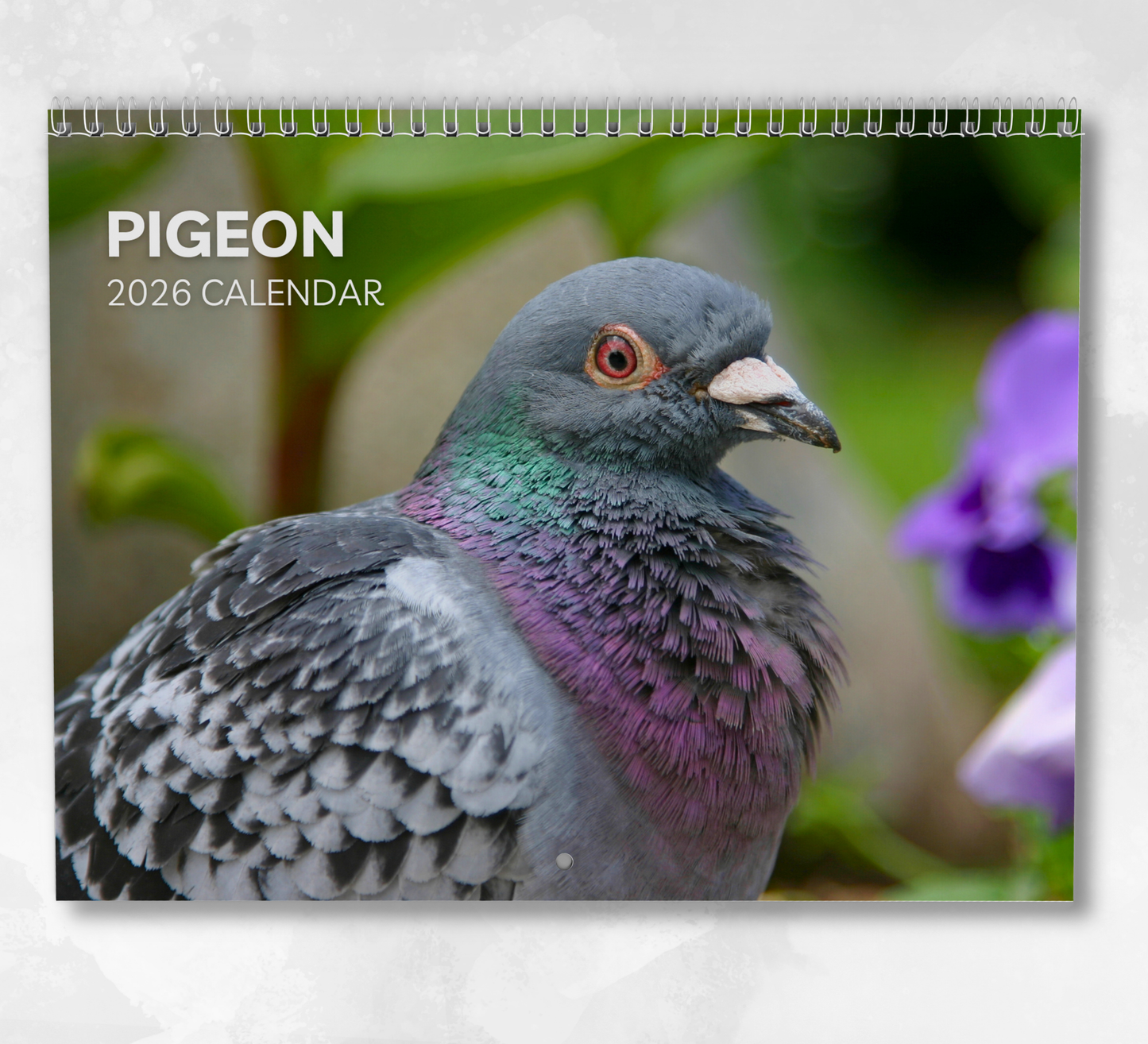 Pigeon Calendar 2026