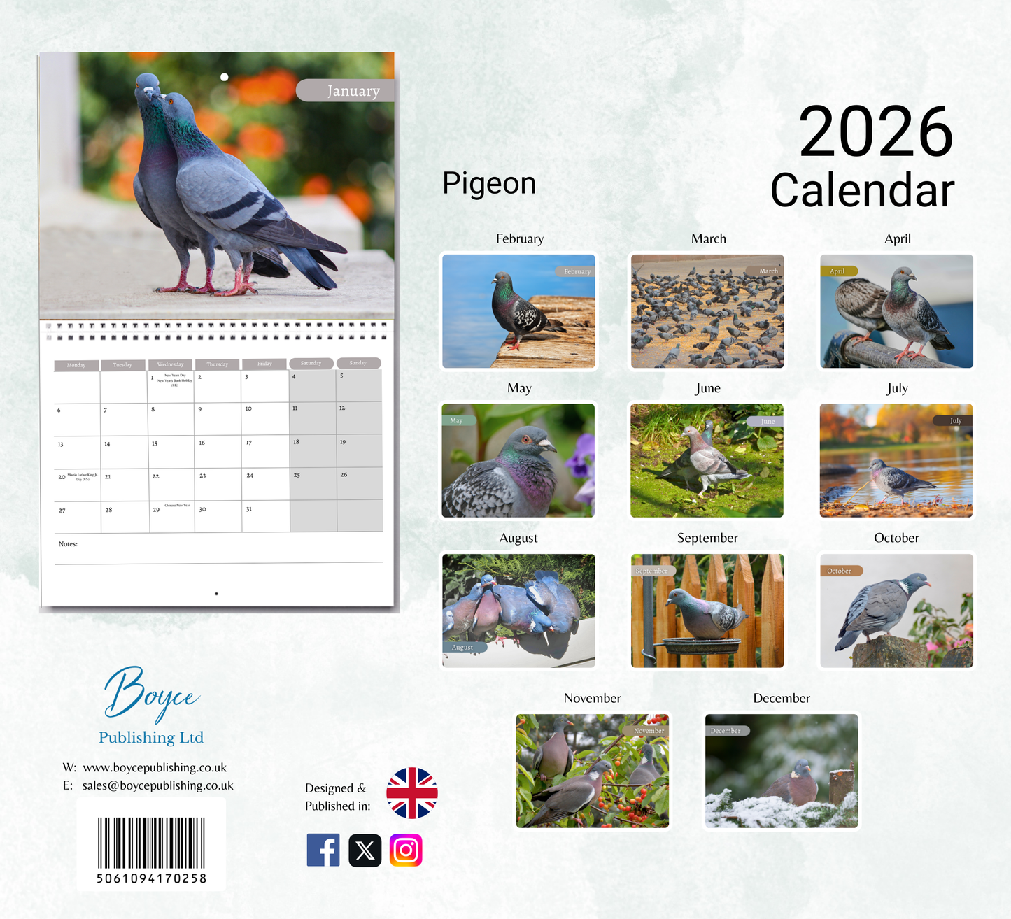 Pigeon Calendar 2026