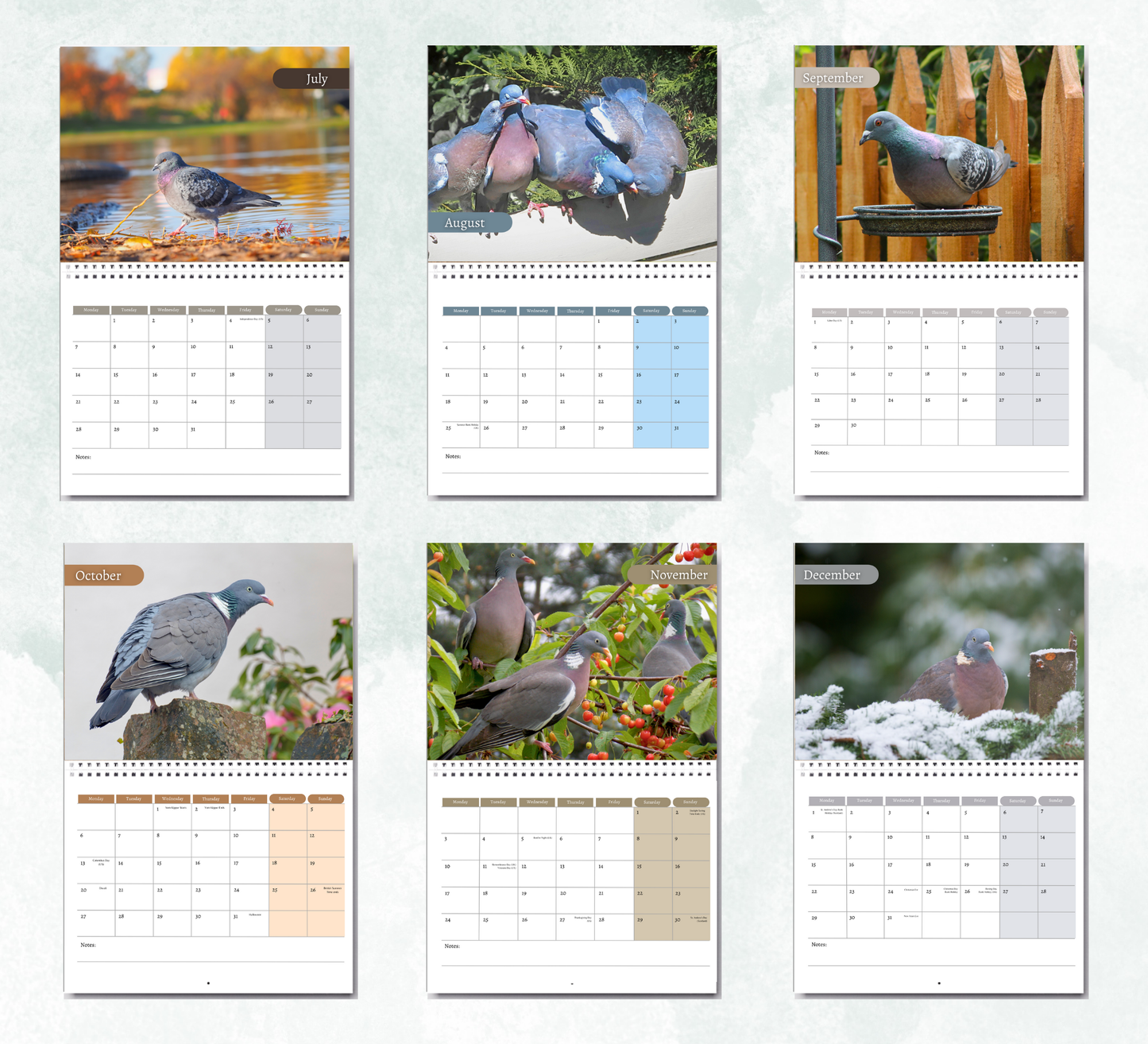 Pigeon Calendar 2026