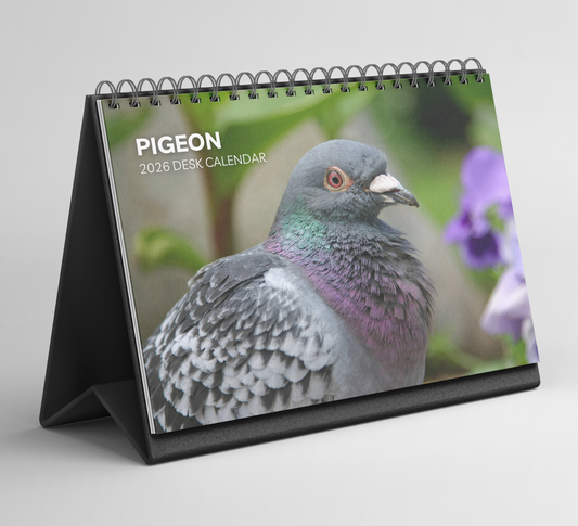 Pigeon Desk Calendar 2026-2027
