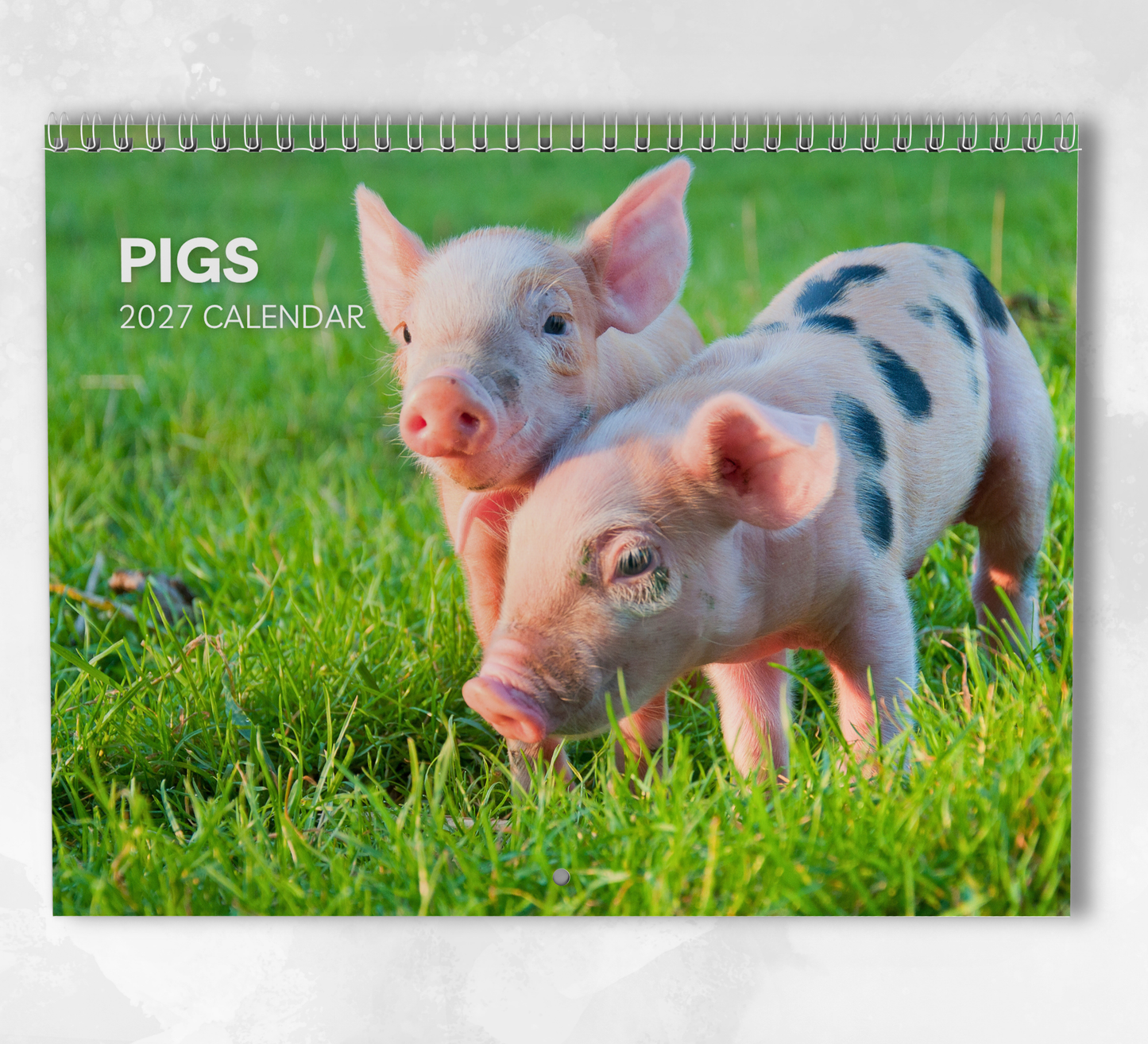 Pig Calendar 2027