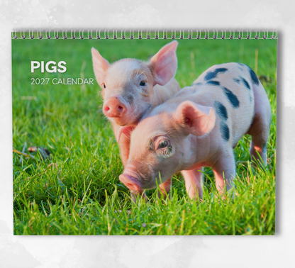 Pig Calendar 2027