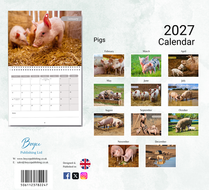 Pig Calendar 2027