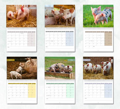 Pig Calendar 2027