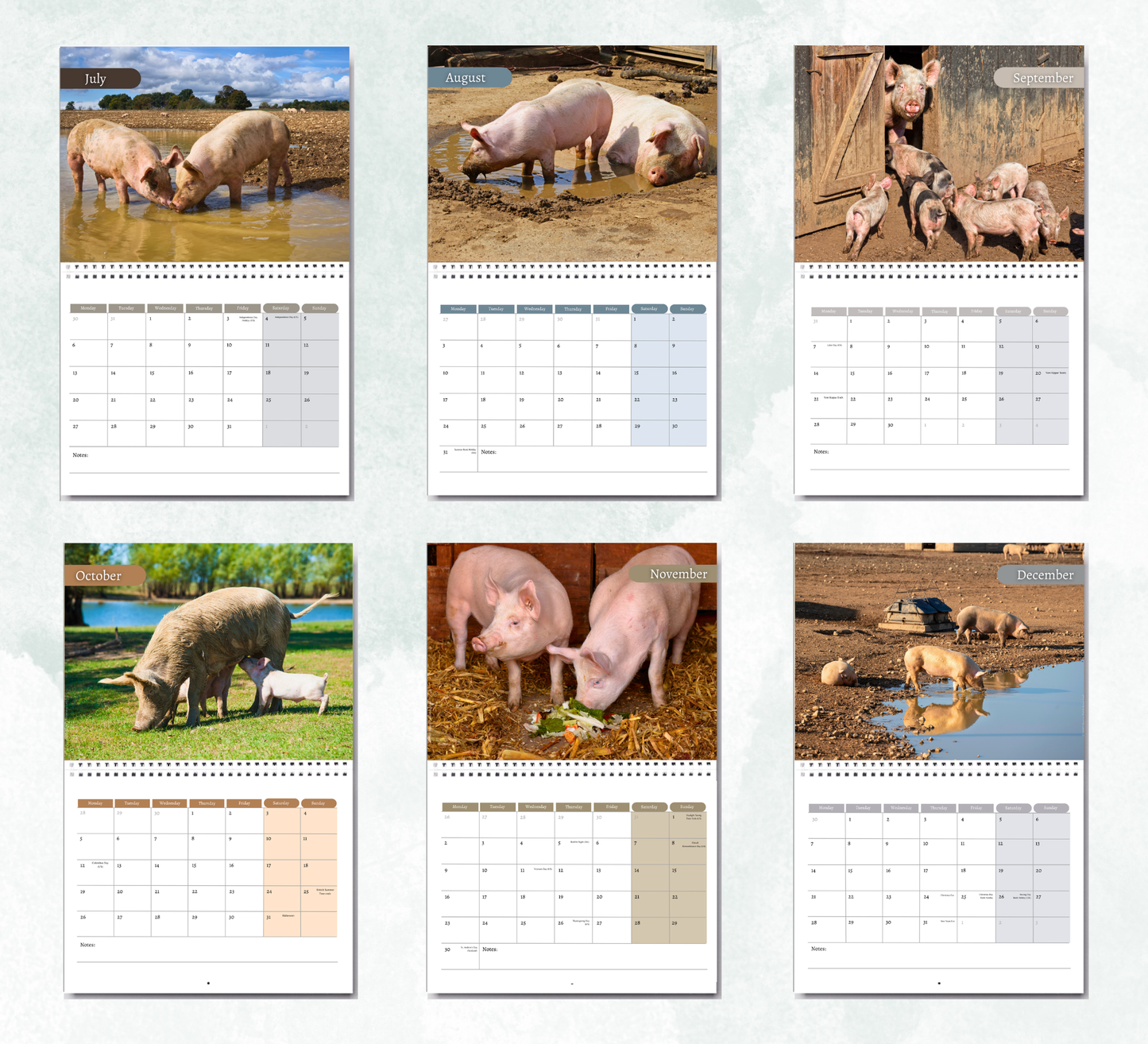 Pig Calendar 2027