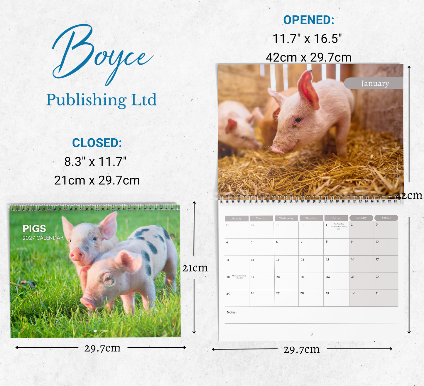 Pig Calendar 2027
