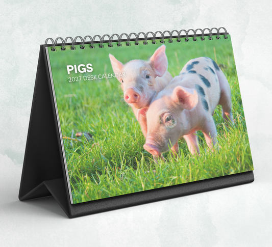 Pig Desk Calendar 2027-2028
