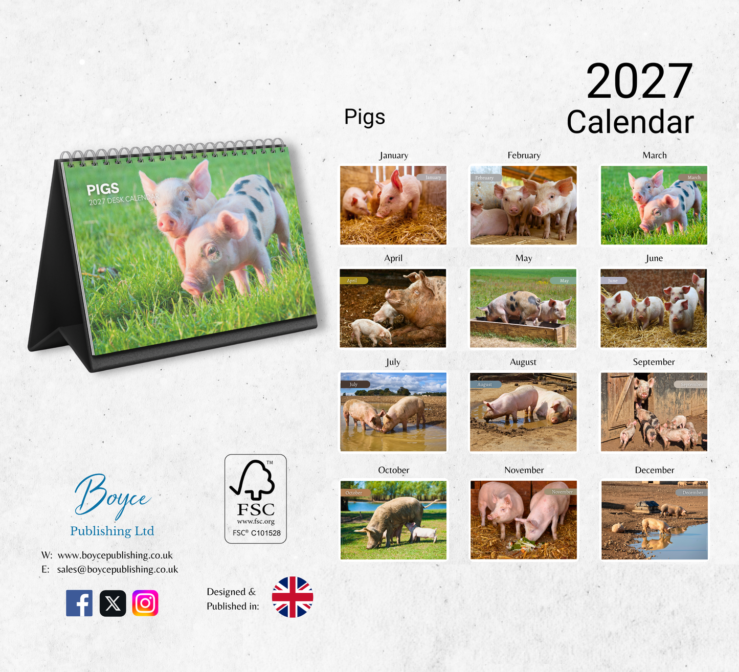 Pig Desk Calendar 2027-2028
