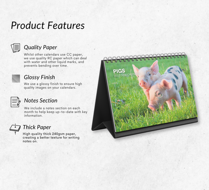 Pig Desk Calendar 2027-2028