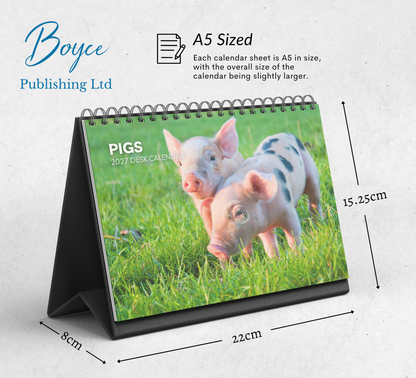Pig Desk Calendar 2027-2028