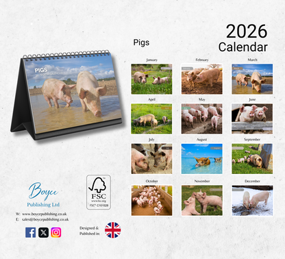 Pig Desk Calendar 2026-2027