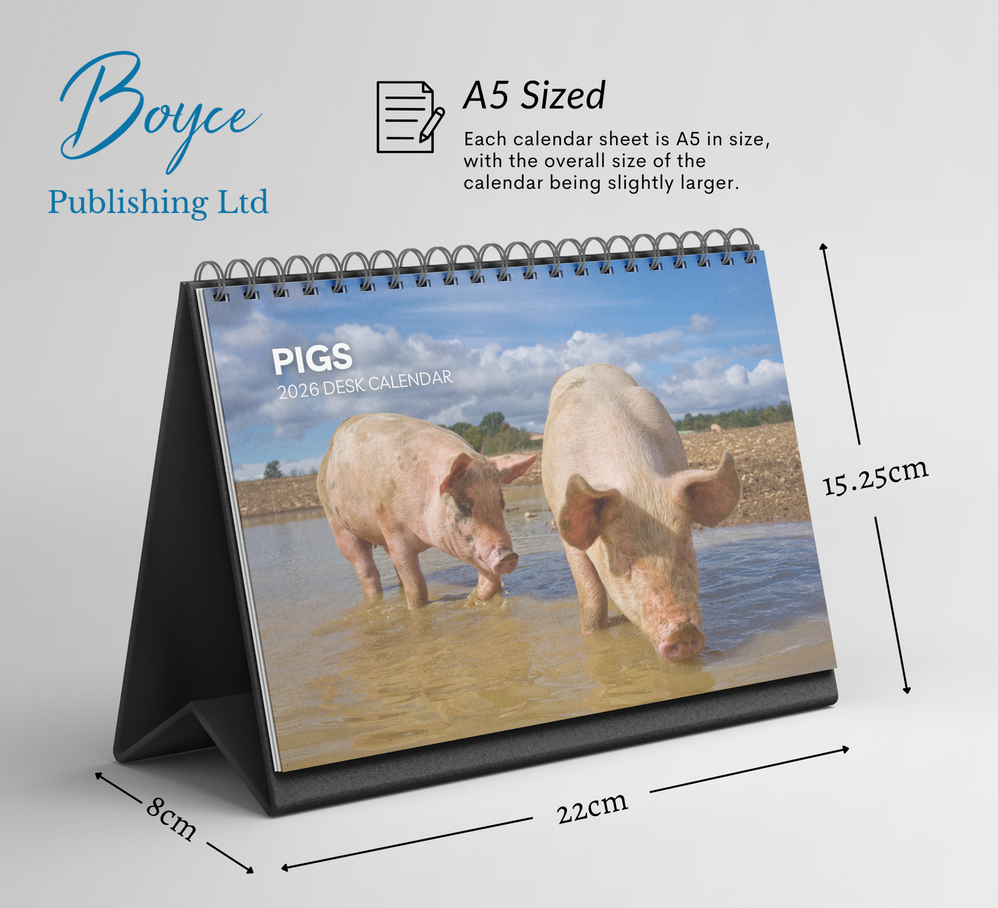 Pig Desk Calendar 2026-2027
