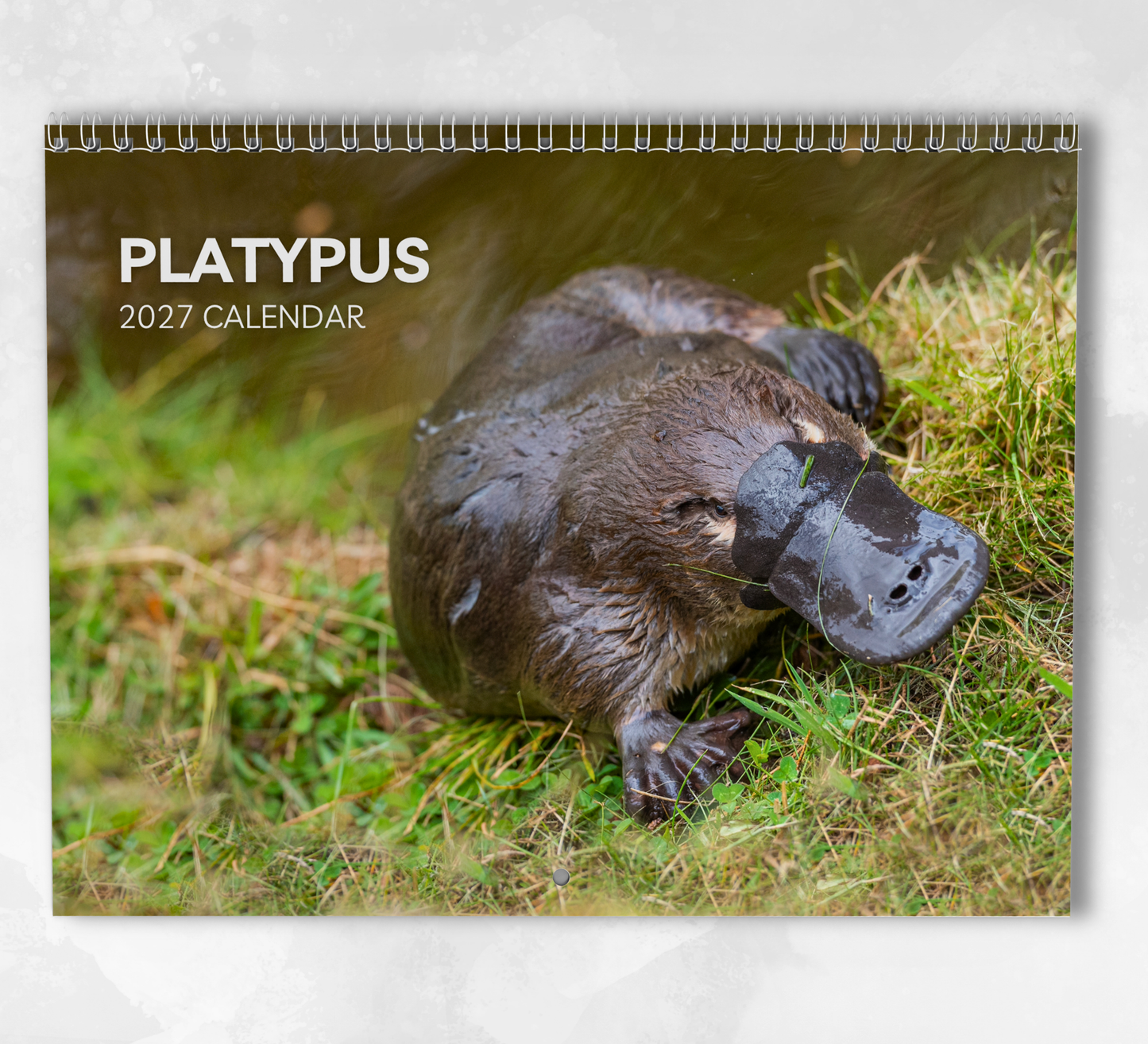 Platypus Calendar 2027