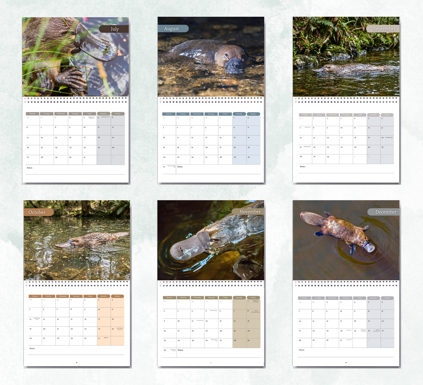 Platypus Calendar 2027