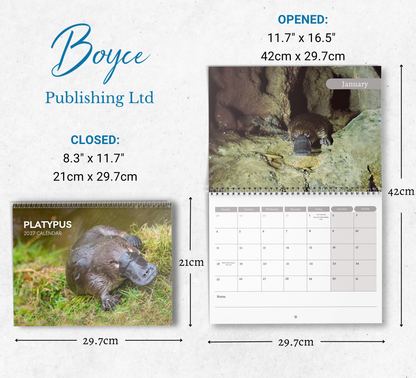 Platypus Calendar 2027