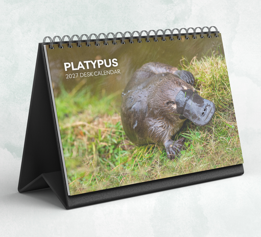 Platypus Desk Calendar 2027-2028
