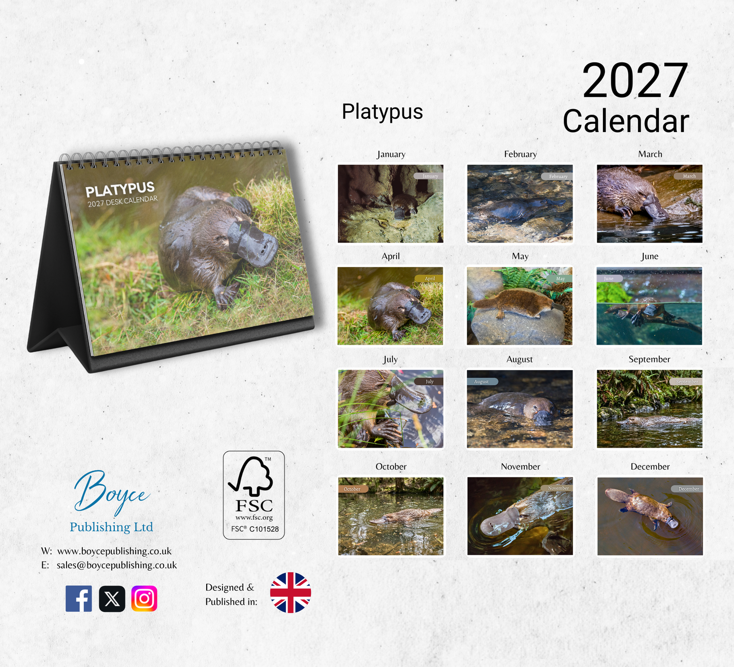 Platypus Desk Calendar 2027-2028