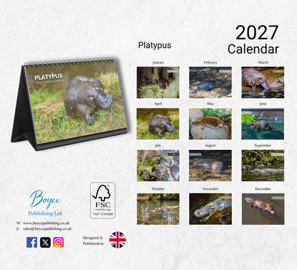 Platypus Desk Calendar 2027-2028