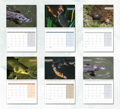 Platypus Calendar 2026
