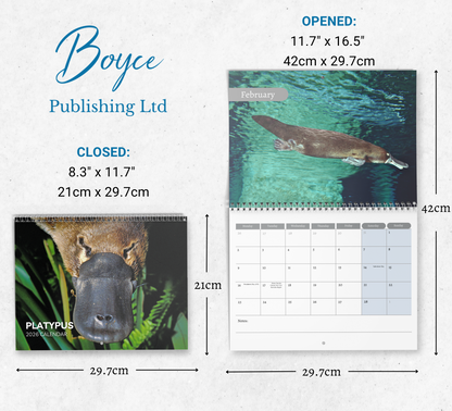 Platypus Calendar 2026