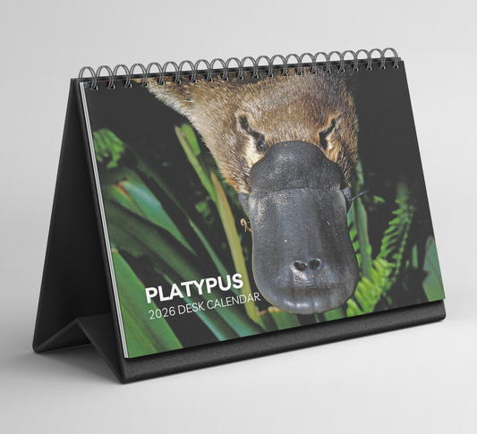 Platypus Desk Calendar 2026-2027