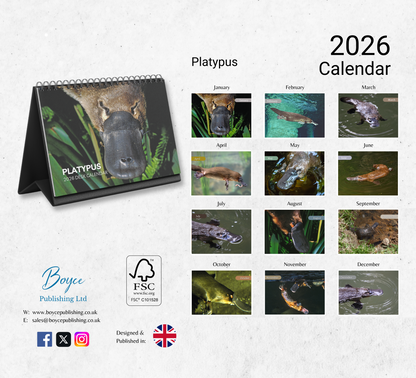 Platypus Desk Calendar 2026-2027
