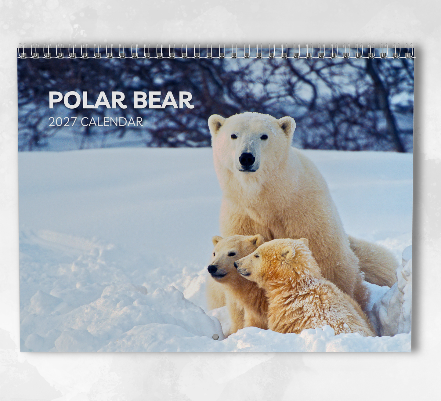 Polar Bear Calendar 2027