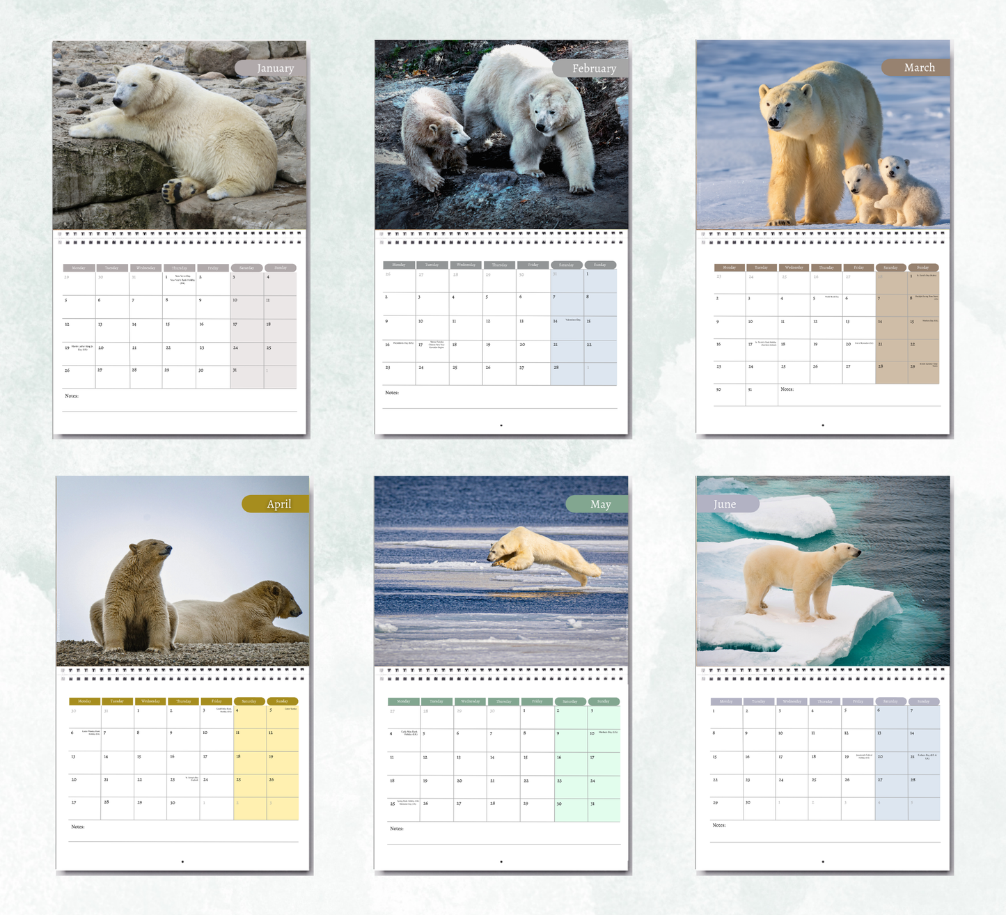 Polar Bear Calendar 2027