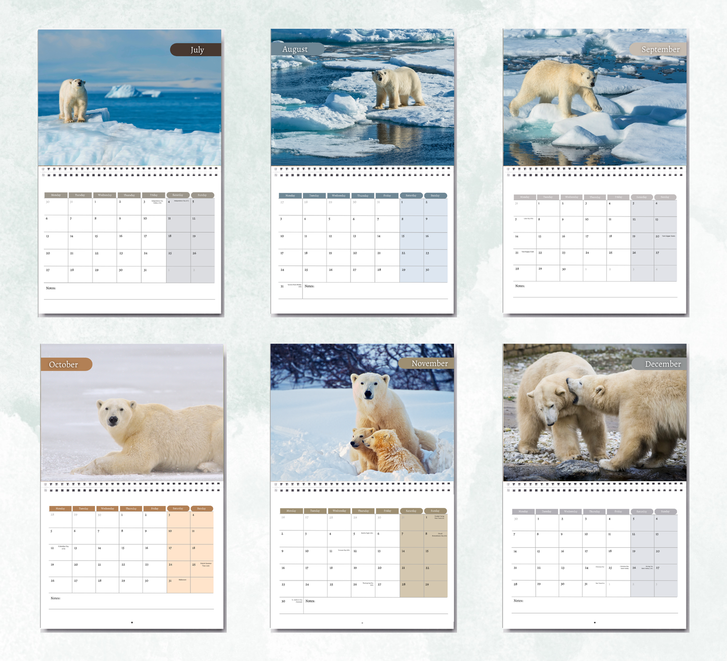 Polar Bear Calendar 2027