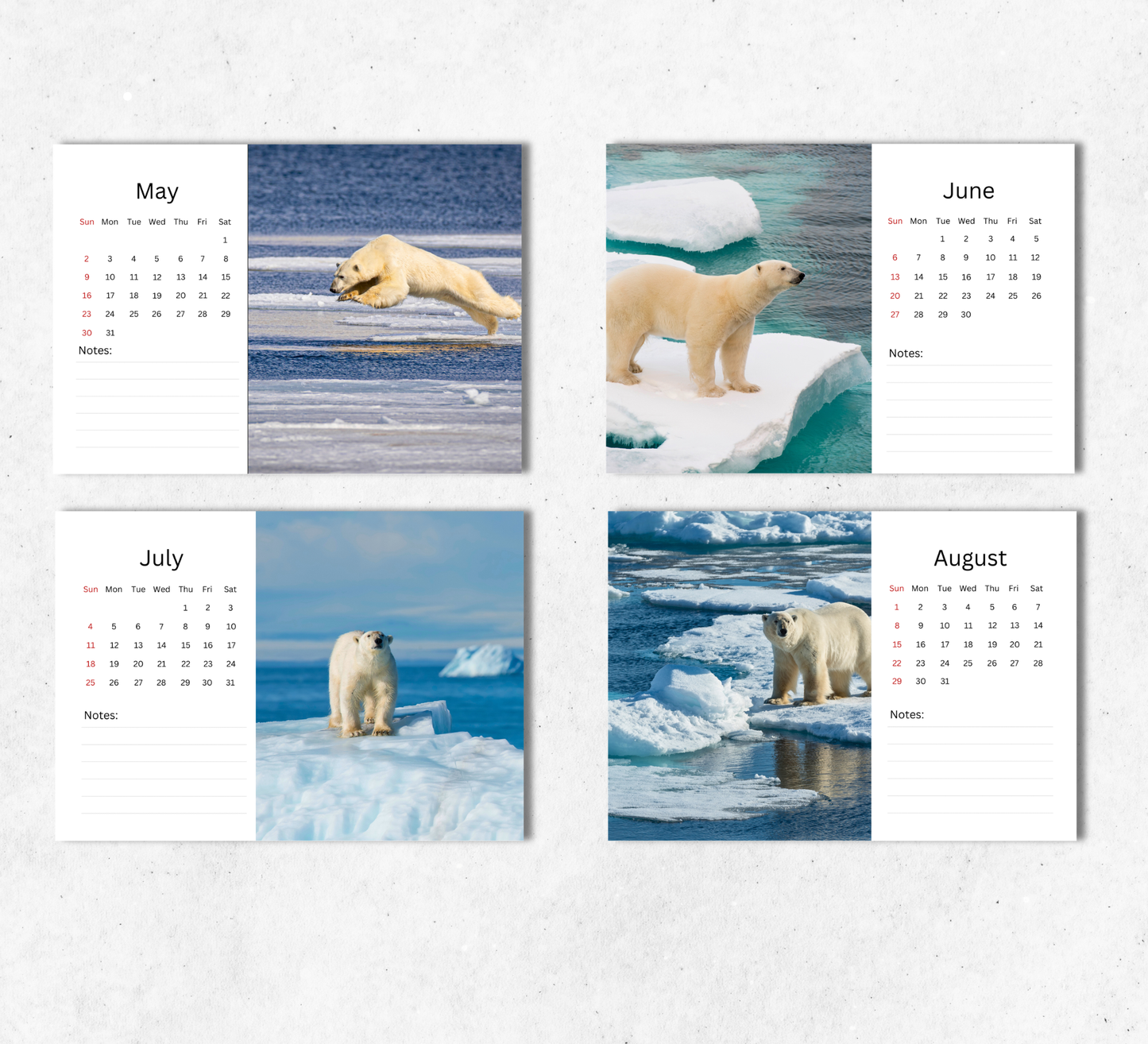 Polar Bear Desk Calendar 2027-2028