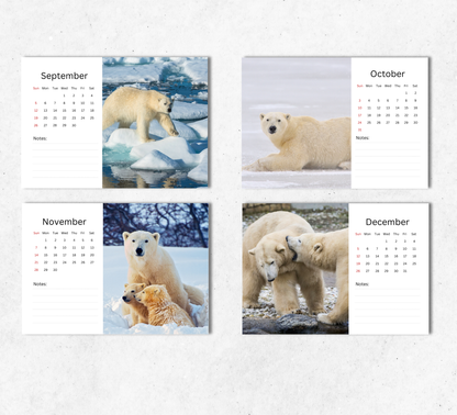 Polar Bear Desk Calendar 2027-2028