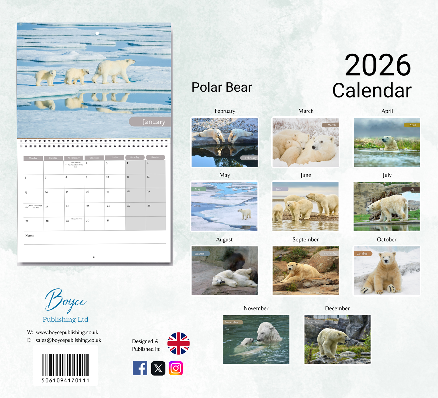 Polar Bear Calendar 2026