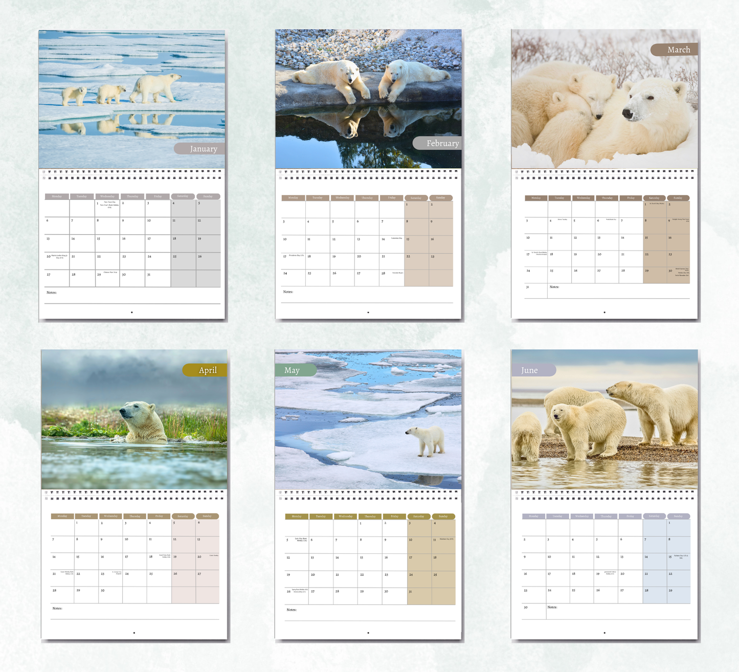 Polar Bear Calendar 2026