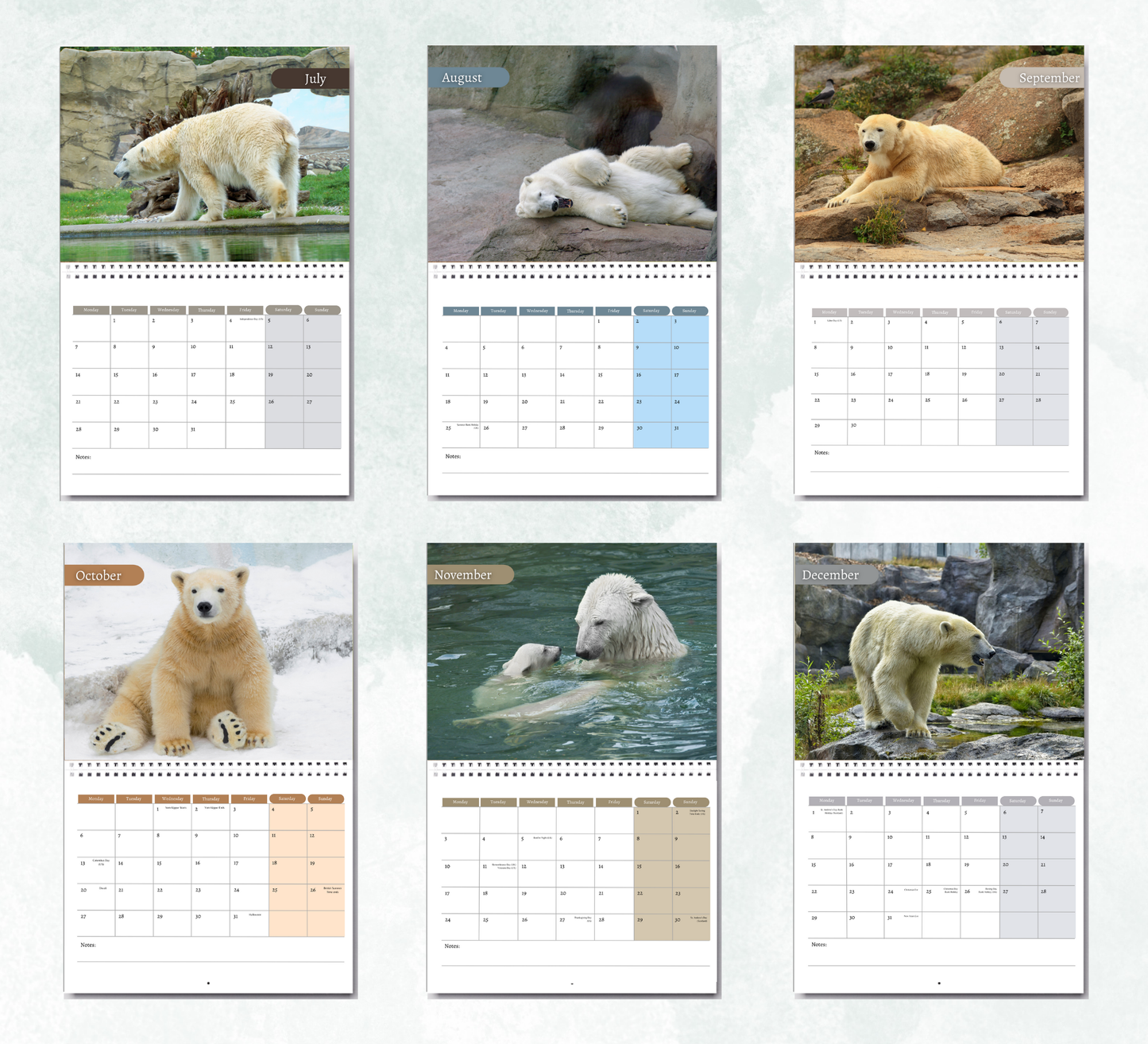 Polar Bear Calendar 2026